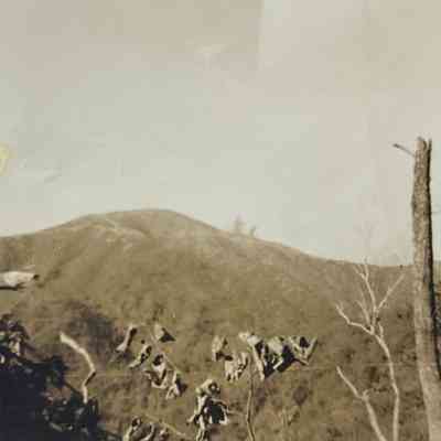 Hillside