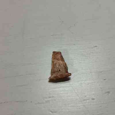 Kirk Corner Notched Point