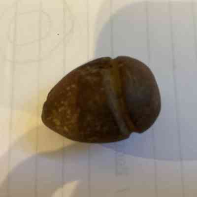 Plummet/Fishing net weight