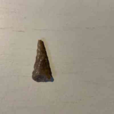 Triangular Drill