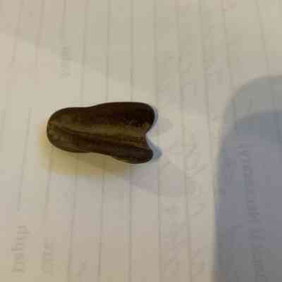 Unidentified Stone Tool
