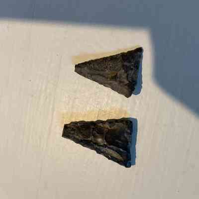 Levanna. points / 2 pcs