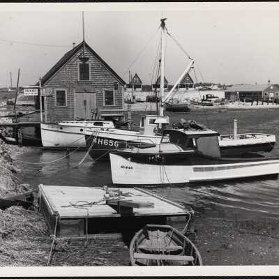 Wellfleet, Mass.