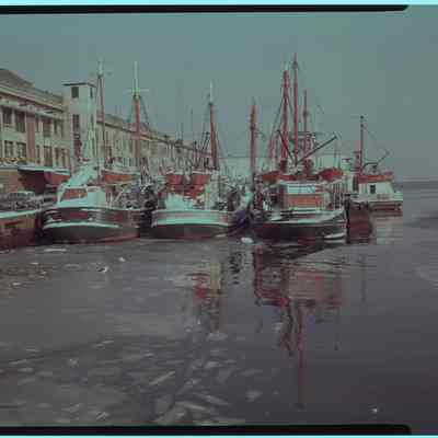 Boston fish pier