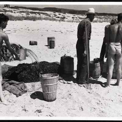Siasconset clam bake