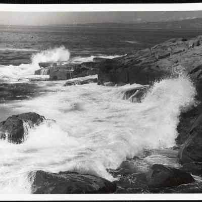 Schoodic Point. Acadia National Park, ME