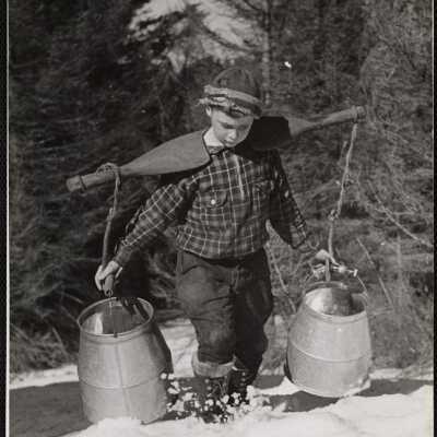 Collecting maple sap - Wilmington, Vt.