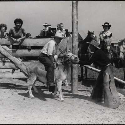 Dude ranch Cape Cod 1
