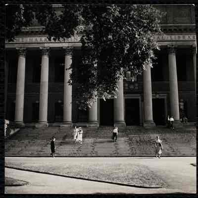 Harvard 1