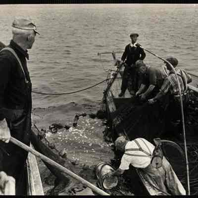 Mackerel fishing Maine