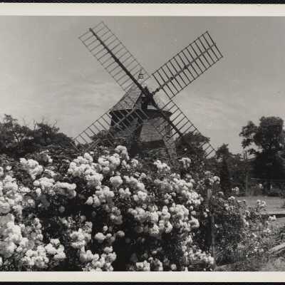 Oldest mill. Eastham - Cape Cod.