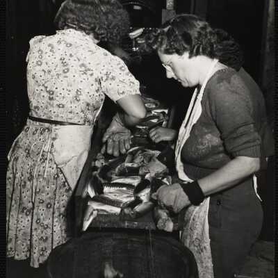 Cleaning + cutting mackerel for canning - New Harbor, Me.