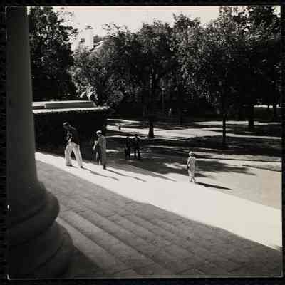 Harvard 1