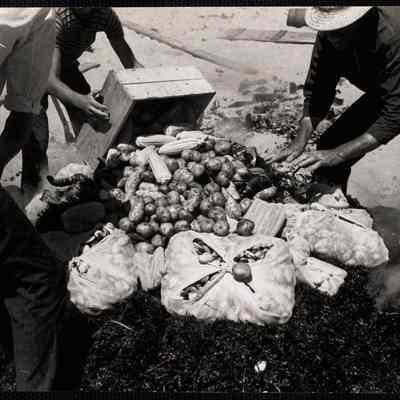 Nantucket clam bake
