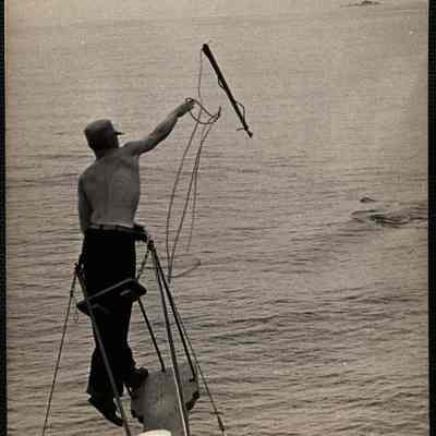 Tuna fishing 1