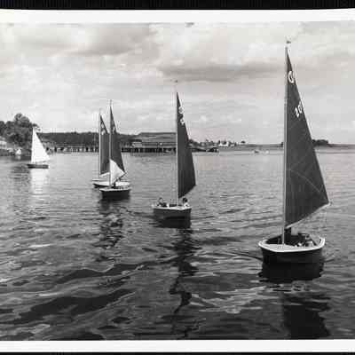 Turnabout fleet. Camden, Maine.