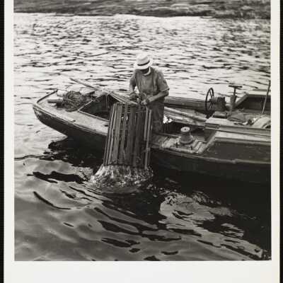 Maine. lobstering