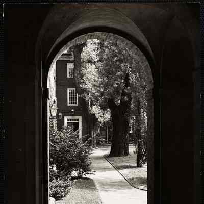 Harvard College group