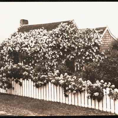 Nantucket - Siasconset 1
