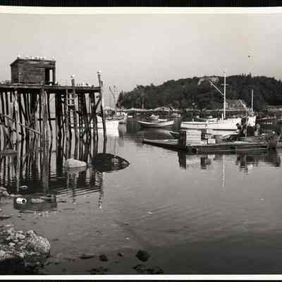 New Harbor, Maine