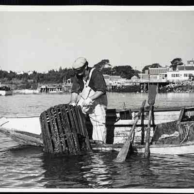 Lobster traps are set from 50 feet to miles apart.