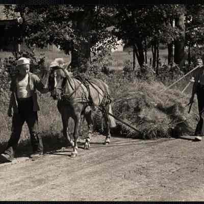 Round Pond, ME. Hay Hoards. L to R: Douglas Leeman of Fall River leading the pony, and Gordon and Kendall Fossett of Round Pond, Maine