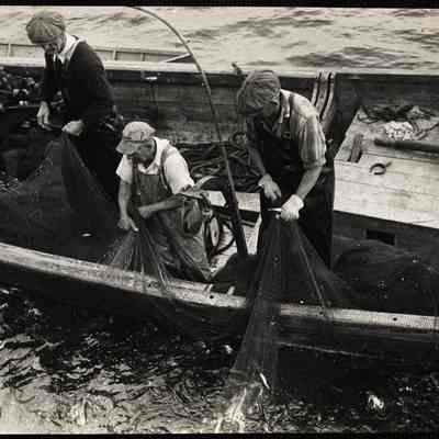 Mackerel fishing - Maine