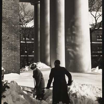 Harvard 1