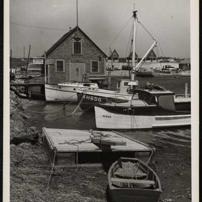Cape Cod Wellfleet, Mass.