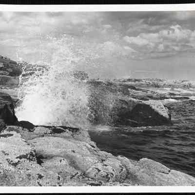 Schoodic Point. Acadia National Park, ME