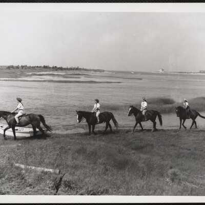 Cape Cod. North Falmouth, Massachusetts