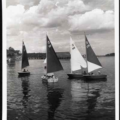 Turnabout fleet. Camden, Maine.