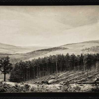 1910
