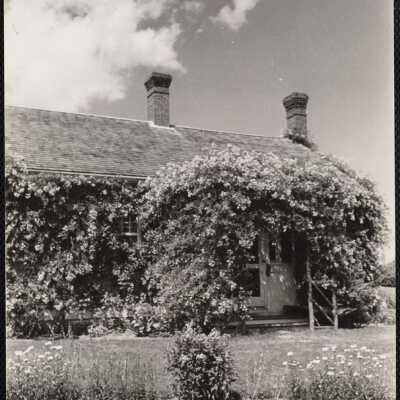 Rose covered cottage - Chatham, Massachusetts
