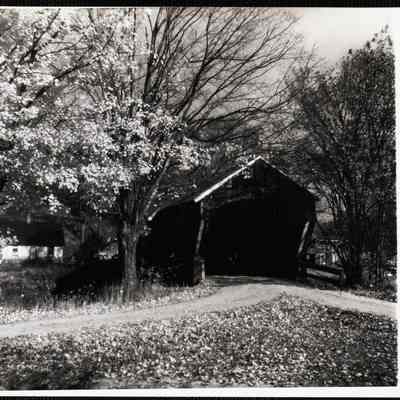 Vermont