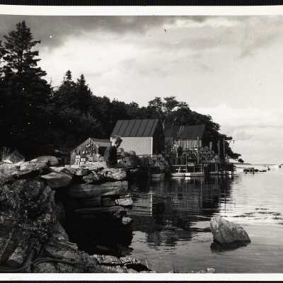 Back Cove, New Harbor, Maine