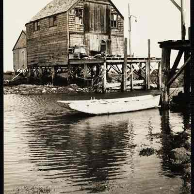 Maine Cape Porpoise