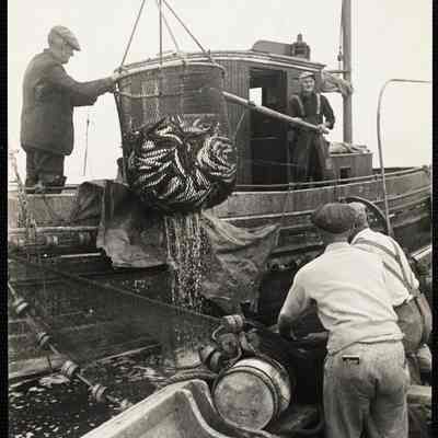 Mackerel fishing, Maine