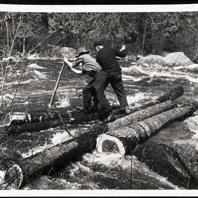 Log drive a-1