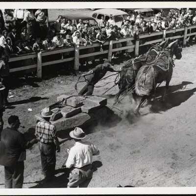 Charles Coudon - Waldobors, Maine horse pulling Windsor, Maine, fair