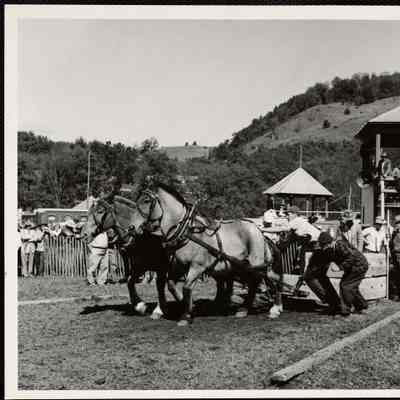 Turnbridge, Vt. Worlds Fair horse pulling - Donald Guild