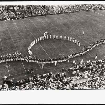 Harvard - Yale - 1954