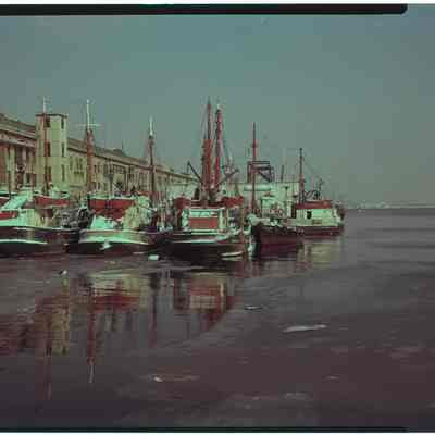 Boston fish pier