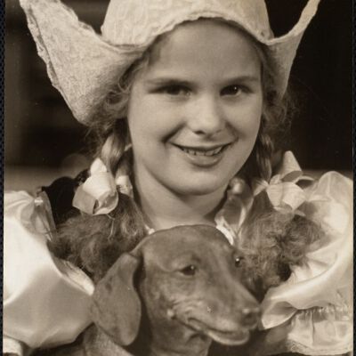 Dog shows