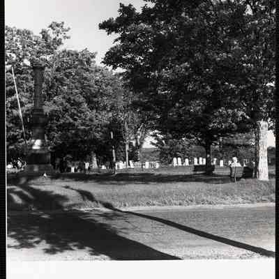 VL greens - Maine