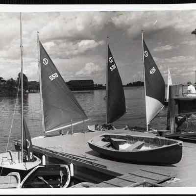Turnabout fleet. Camden, Maine.