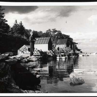 Back Cove - Maine