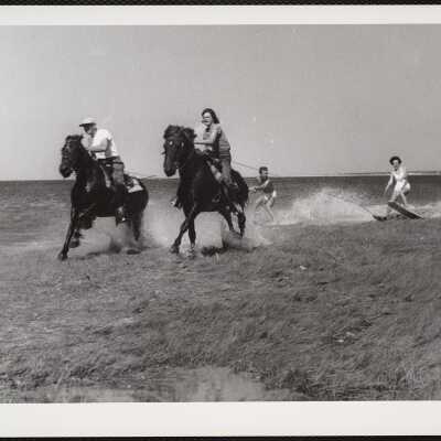 Cape Cod dude ranch