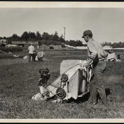Picking cranberries by machine, Hanson, Mass