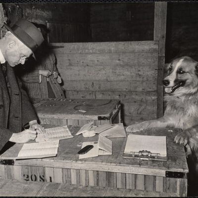 William P. Wolcott, checking list of the dogs going out over[?] going later